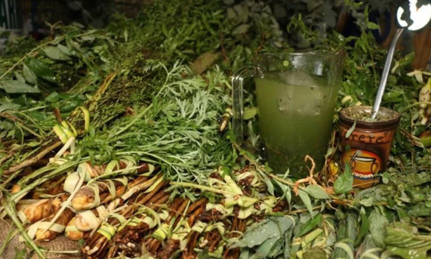 La Enciclopedia del Tereré: Guía definitiva de Yuyos, Mezclas y Propiedades